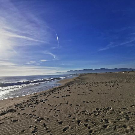 Appartement Vue Mer 212 Canet-en-Roussillon Kültér fotó